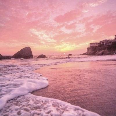 BOB体育综合官方平台APP