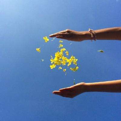 kaiyun登录入口登录