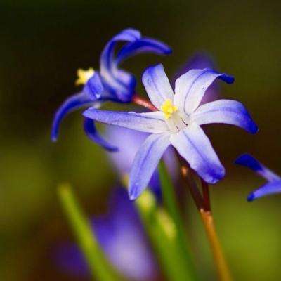 kok全站app官网登录入口