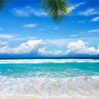 大众彩票入口welcome·官方网站