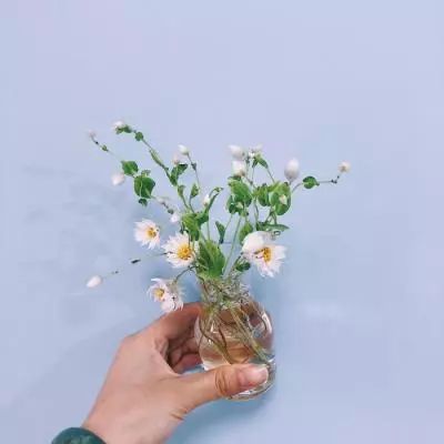 bat365在线平台官方网站