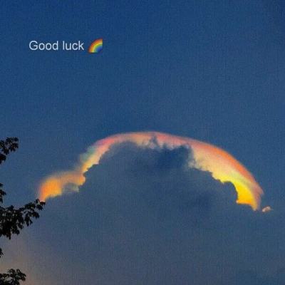 LOL外围官网下载手机版